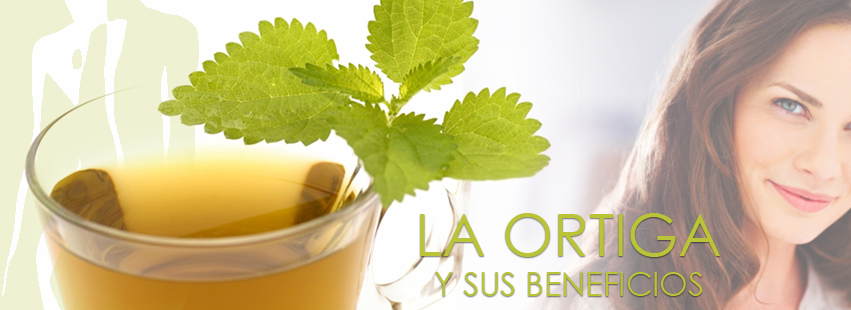 La ortiga