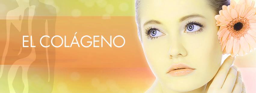 El colágeno